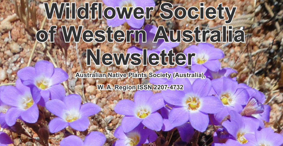 May 2024 Newsletter Now Online